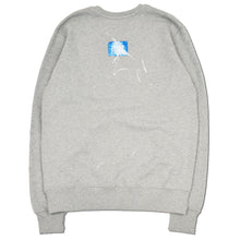Load image into Gallery viewer, PAINTED CREST SWEATSHIRT - GREY

